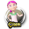 Çilek